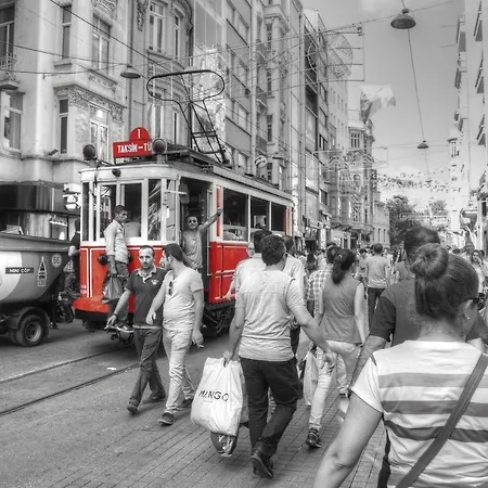 Taksim Lion 37 *
