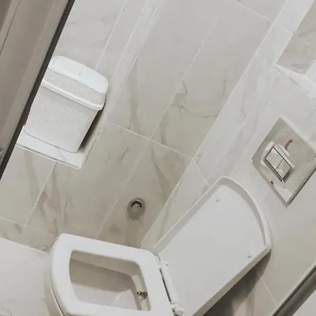 Taksim Lion 37 فندق *