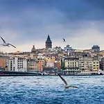 酒店 Taksim Lion 37 *