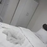 酒店 Taksim Lion 37