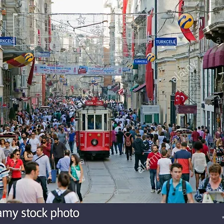 Taksim Lion 37