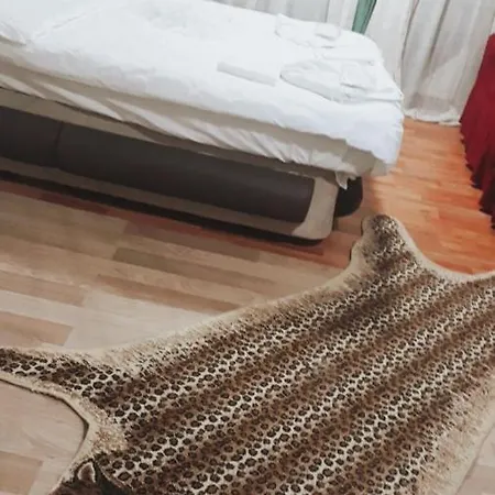 Taksim Lion 37 호텔 이스탄불