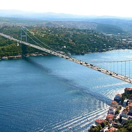 Taksim Lion 37