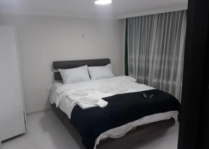 호텔 Taksim Lion 37 이스탄불