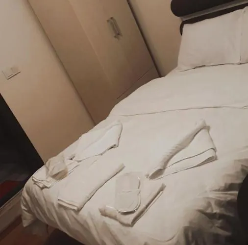 호텔 Taksim Lion 37 *