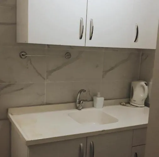 Taksim Lion 37 호텔 *