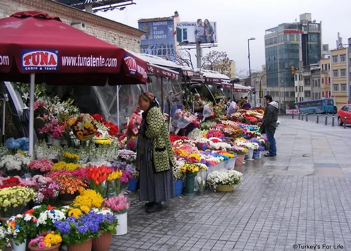 Taksim Lion 37 호텔 이스탄불