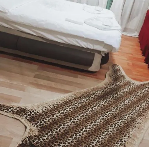 Taksim Lion 37 호텔 이스탄불